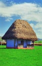 Old thatched cottage Royalty Free Stock Photo