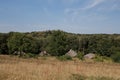 Old thatched cottage in the forest Royalty Free Stock Photo