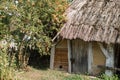 Old thatched cottage in the forest Royalty Free Stock Photo