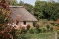Old thatched cottage in the forest Royalty Free Stock Photo