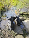 old thrown away leather boot on flame in the farm. Royalty Free Stock Photo