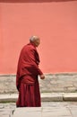 Old tibetan monk