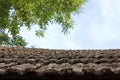 Old tile roof covered with moss, tree branches, and sky. Tile textured background Royalty Free Stock Photo