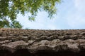 Old tile roof covered with moss, tree branches, and sky. Tile textured background Royalty Free Stock Photo