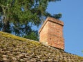 Old tile roof, overgrown with moss