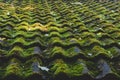 Old tiled roof covered by moss Royalty Free Stock Photo