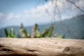 Old timber floor panel and blur nature view background.Wooden background Royalty Free Stock Photo