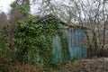 Old Timber Hovel Overgrown in Ivy, Prague, Czech Republic, Europe
