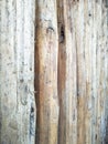 Old timber made into a wall wallpaper Royalty Free Stock Photo