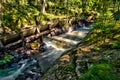 Old timber rafting facility and waterfall in the Swedish woods Royalty Free Stock Photo