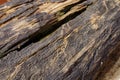 Old timber textures have burn marks and cracks Royalty Free Stock Photo