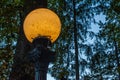 Old Time Street Lamp Royalty Free Stock Photo