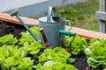 A raised bed with gardening tools and a watering can Royalty Free Stock Photo