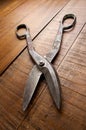 Old Tin Snips Royalty Free Stock Photo