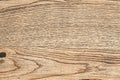 old tinted oak wood with scratches, natural background Royalty Free Stock Photo
