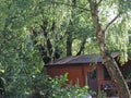 Old tiny house in the green side view