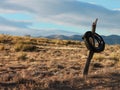 Old Tire on a Fencepost