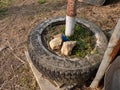 Old tire fulfiled with concrete used as shelter base Royalty Free Stock Photo