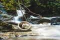 Old tire and a plastic bag hanging from a wood branch near a stream in the forest Royalty Free Stock Photo