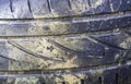 Old tire ruts Royalty Free Stock Photo