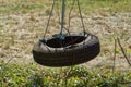 an old tire swing in a garden Royalty Free Stock Photo