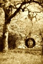 Old Tire Swing Sepia Royalty Free Stock Photo