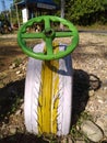 An old tire used for toys in a garden