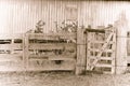 Old tired farm gate in sepia