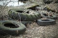 Old tires in landfill. Illegal release of waste into forest. Bad rubber lies on ground Royalty Free Stock Photo