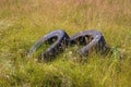 Old tires on a meadow Royalty Free Stock Photo