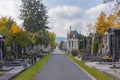 Old tombs on a alley in cemetery. Selective focus Royalty Free Stock Photo