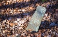 Old Tombstone in Autumn Leaves Royalty Free Stock Photo