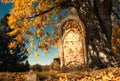 Old tombstone next to a big tree in autumn cemetery Royalty Free Stock Photo