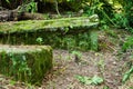 Old tombstone overgrown with moss on abandoned cemetery