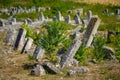 Old tombstones at the ancient Jewish cemetery in Vadul liu Rascov in Moldova