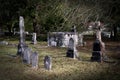 Old tombstones within an antiquated cemetery