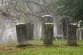 Foggy morning in river view cemetery Royalty Free Stock Photo