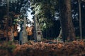 Old tombstones ruin in autmn forest, cemetery in evening, night, moon light, selective focus, halloween concept design backgrond Royalty Free Stock Photo