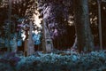 Old tombstones ruin in autmn forest, cemetery in evening, night, moon light, selective focus, halloween concept design backgrond,