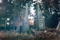 Old tombstones ruin in autmn forest, cemetery in evening, night, moon light, selective focus, halloween concept design backgrond,