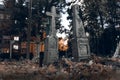 Old tombstones ruin in autmn forest, cemetery in evening, night, moon light, selective focus, halloween concept design backgrond