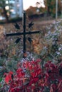 Old tombstones ruin in autmn forest, cemetery in evening, selective focus, vertical photo