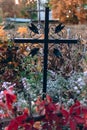 Old tombstones ruin in autmn forest, cemetery in evening, selective focus, vertical photo