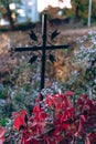 Old tombstones ruin in autmn forest, cemetery in evening, selective focus, vertical photo