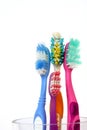 Old Toothbrushes