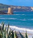 Old tower with agaves Royalty Free Stock Photo