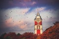 Old tower clock of railway station of Varna city, Bulgaria and flying birds at sunrise.image Royalty Free Stock Photo