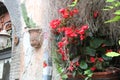 View of old town near rome italy