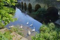 The Old Town Bridge on the river Avon with swans in the foreground, Bradford on Avon, UK Royalty Free Stock Photo