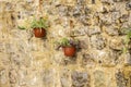 Old Town Budva, Montenegro. We see ancient houses, a very narrow street, flowers, cafes, shops Royalty Free Stock Photo